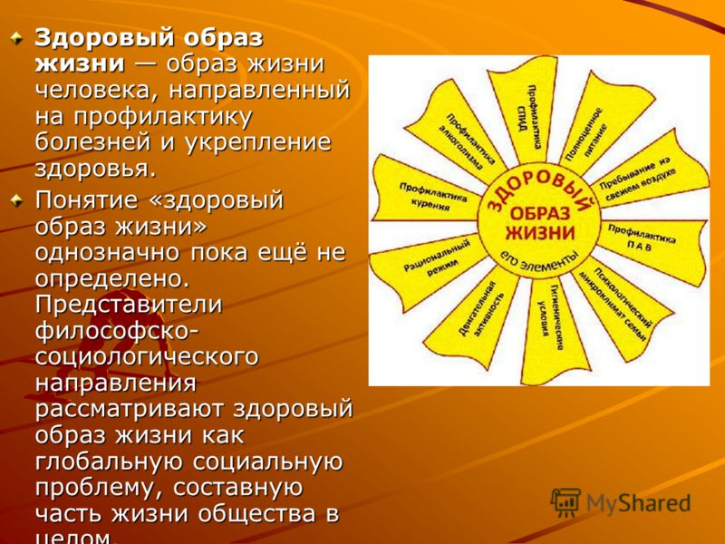 Реферат На Тему Здоровый Образ Жизни Человека