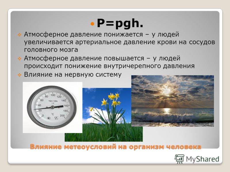 При каких температурах меняют летнюю резину на зимнюю