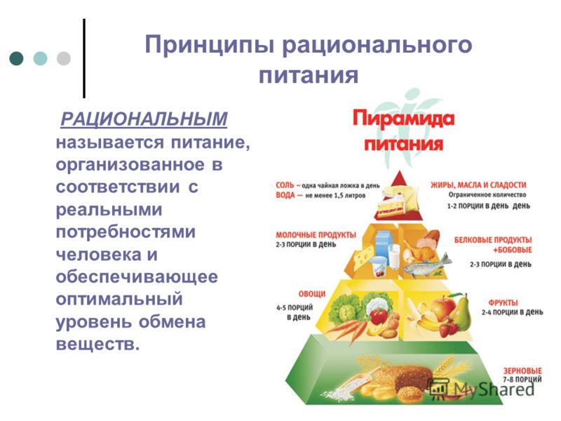 Роль Правильного Питания В Развитии Ребенка Реферат