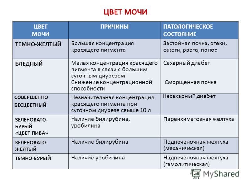 Нормальный цвет мочи у беременной 66
