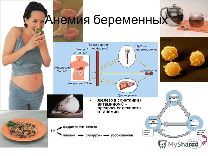 Что прописывают беременным при низком гемоглобине 50