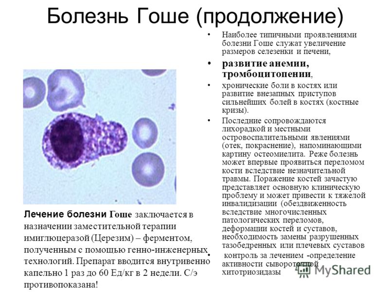Гепатит с hcv суммарные антитела-скрининг