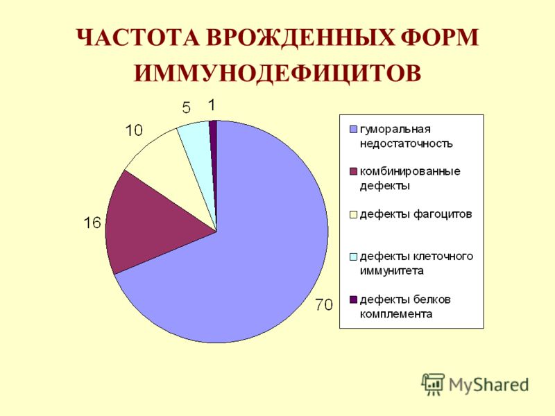 Купить пряжу и товары для рукоделия в Минске Козы