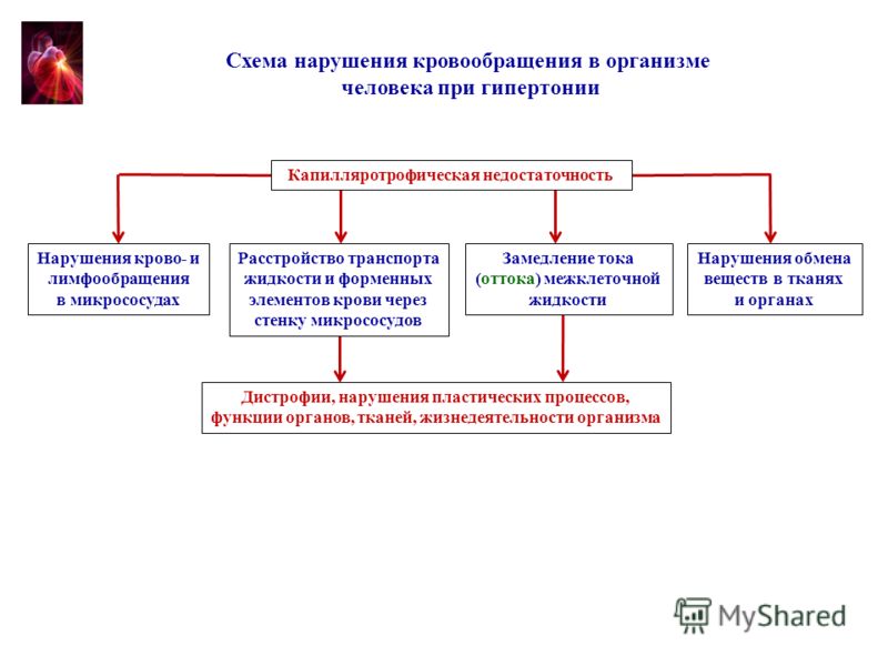 Схема лечения нарушения кровообращения Схема лечения нарушения кровообращения