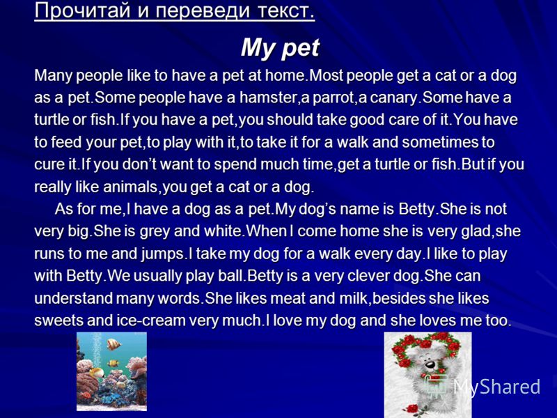 Прочитай и переведи текст. My pet Many people like to have a pet at home.Most people get a cat or a dog as a pet.Some people have a hamster,a parrot,a canary.Some have a turtle or fish.If you have a pet,you should take good care of it.You have to fee