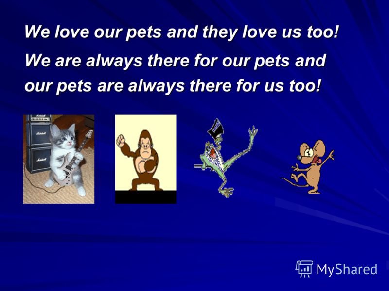 We love our pets and they love us too! We are always there for our pets and our pets are always there for us too!