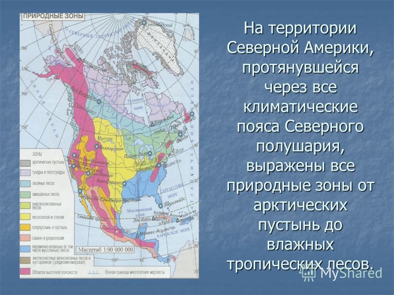 Курсовая работа по теме Природные зоны Евразии
