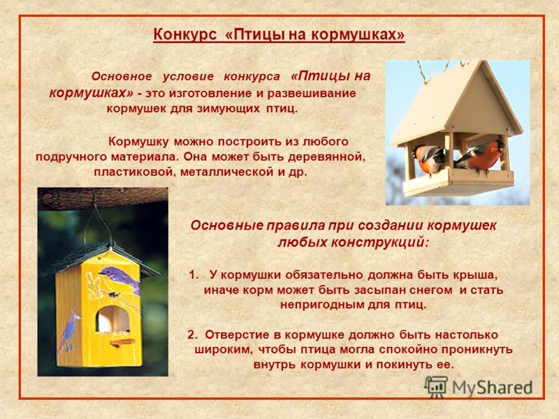 Картинки зимующих птиц кормушек Картинки зимующих птиц кормушек