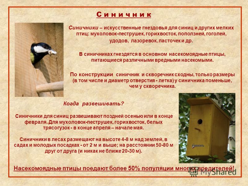 Скворечники для синиц своими руками