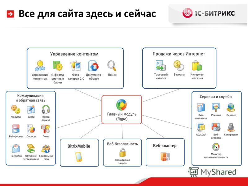 http://images.myshared.ru/4/288888/slide_7.jpg