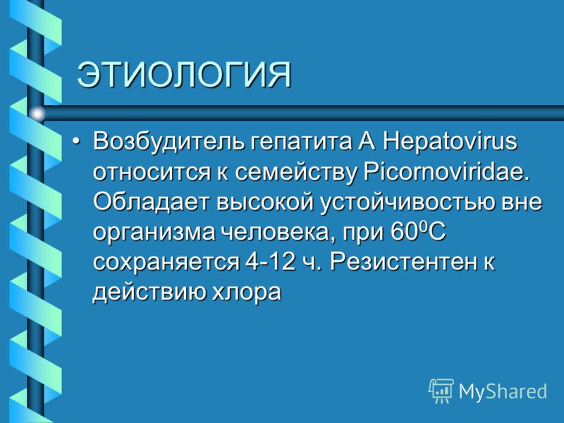 Доклад: Возбудитель гепатита В