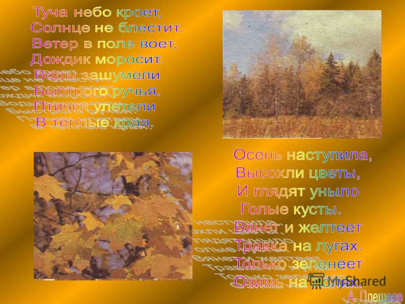 Стих туча небом кроет Стих туча небом кроет
