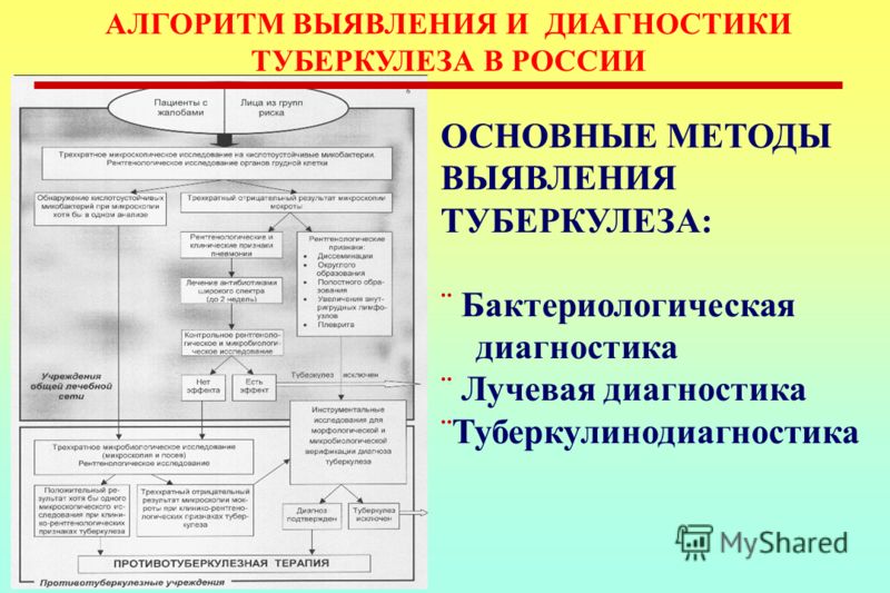 методы выявления паразитов в организме методы выявления паразитов в организме