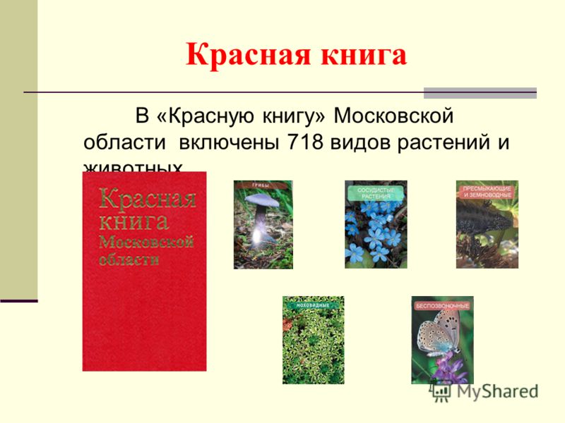 Красная книга московской области скачать