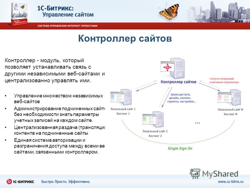 Управление интернет проектами