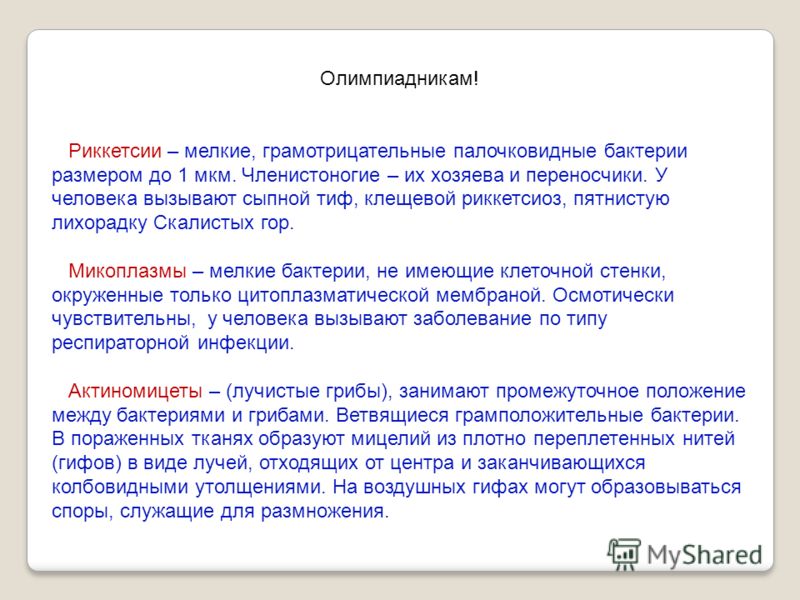 готовое питание для похудения купить готовое питание для похудения купить