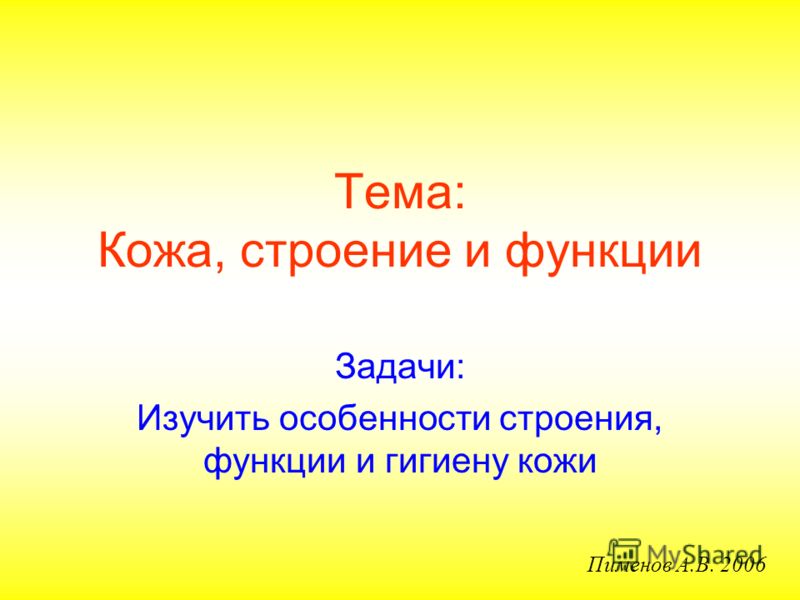 Презентация По Теме Кожа