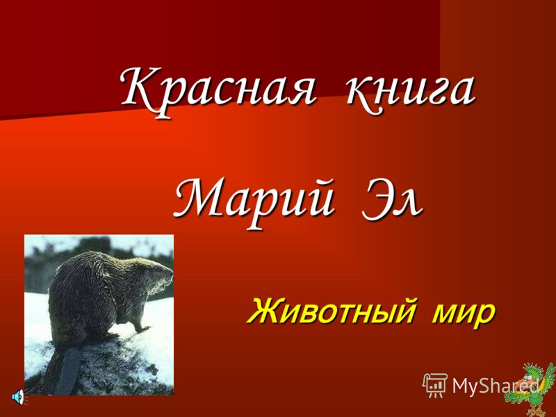 Красная книга марий эл скачать бесплатно