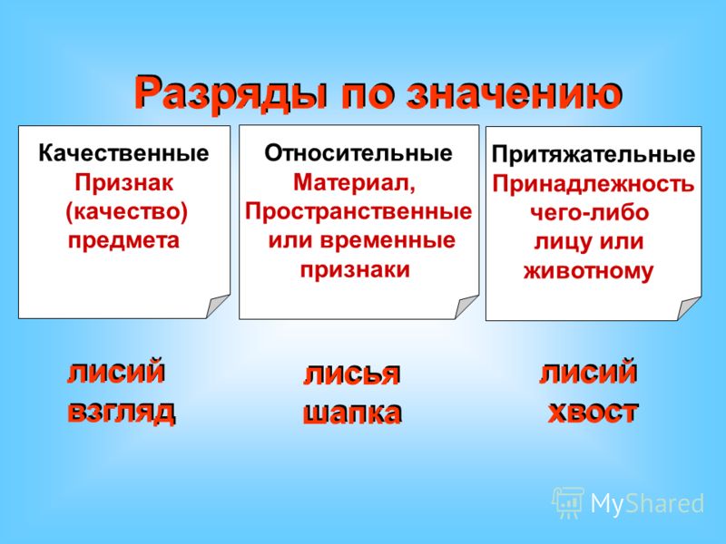 устройство это на какие вопросы отвечают качественные относительные и притяжательные препаратов