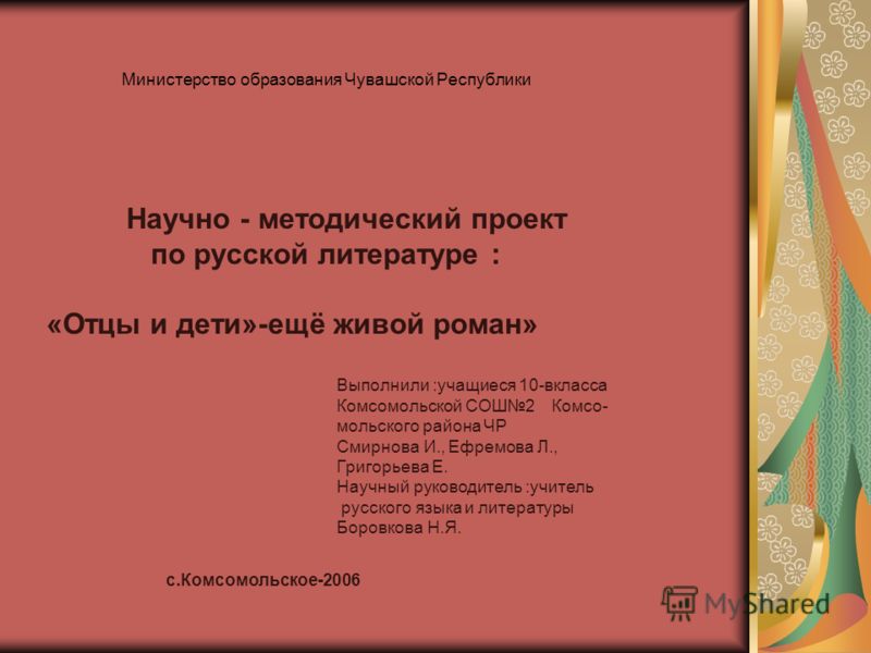Сочинение: Образы разночинцев в романе И.С. Тургенева 