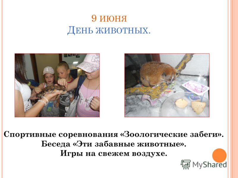Конкурс рисунков на асфальте на тему экология Конкурс рисунков на асфальте на тему экология