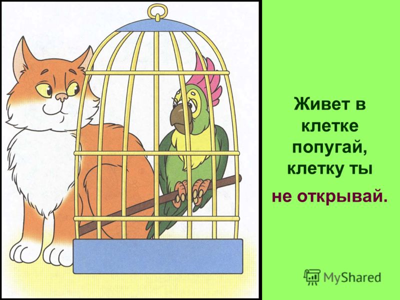 Раскраски в клетку Раскраски в клетку