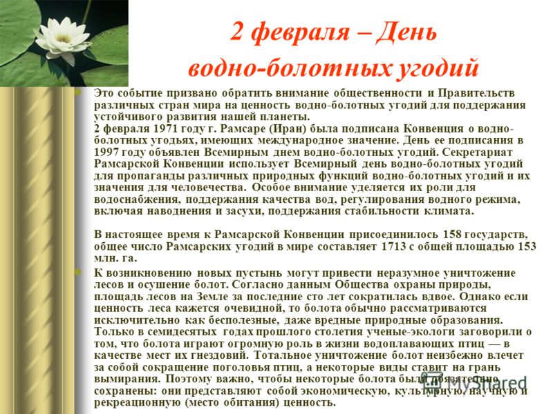 Сценарий заповедная земля Сценарий заповедная земля
