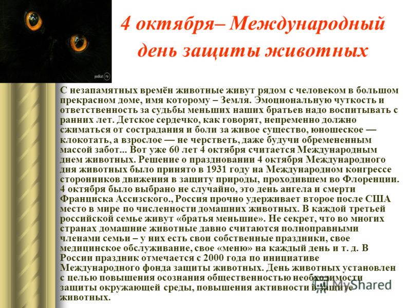 Сценарий дня защиты животных Сценарий дня защиты животных