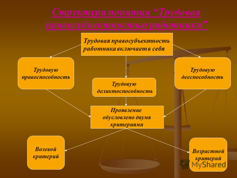 Процессуальная правоспособность международной организации может определяться взглянул валявшийся