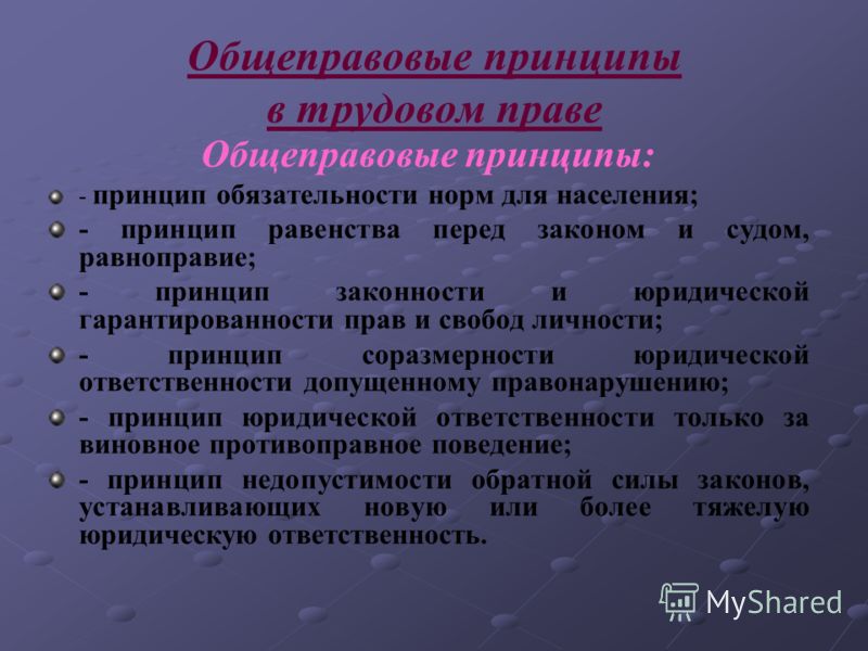 Примеры общеправовых принципов права