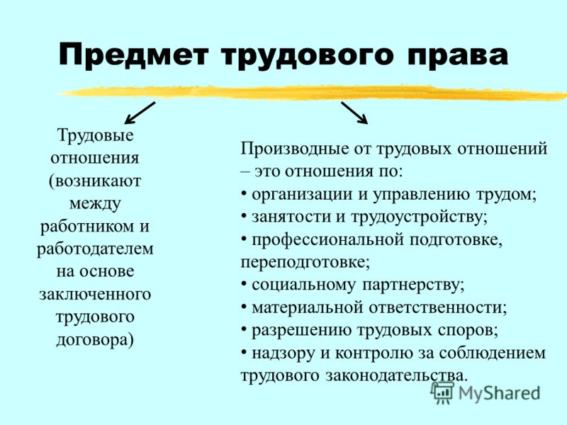 Реферат: Предмет, методы и система российского трудового права