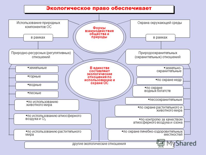 Экологическое право презентация ведь