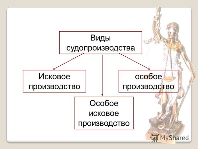 особое производство возбуждается особое производство возбуждается