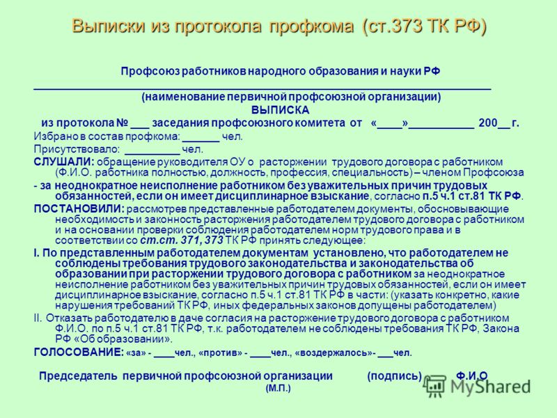 Мотивированное мнение по проекту в письменной форме