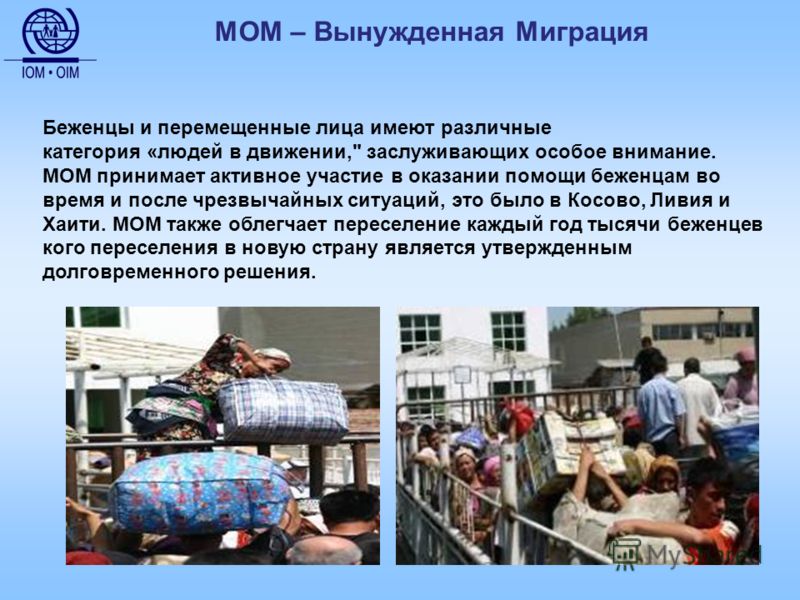 Статус иммигранта и статус беженца Статус иммигранта и статус беженца