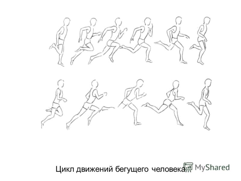 Рисуем анимацию движения человека Рисуем анимацию движения человека
