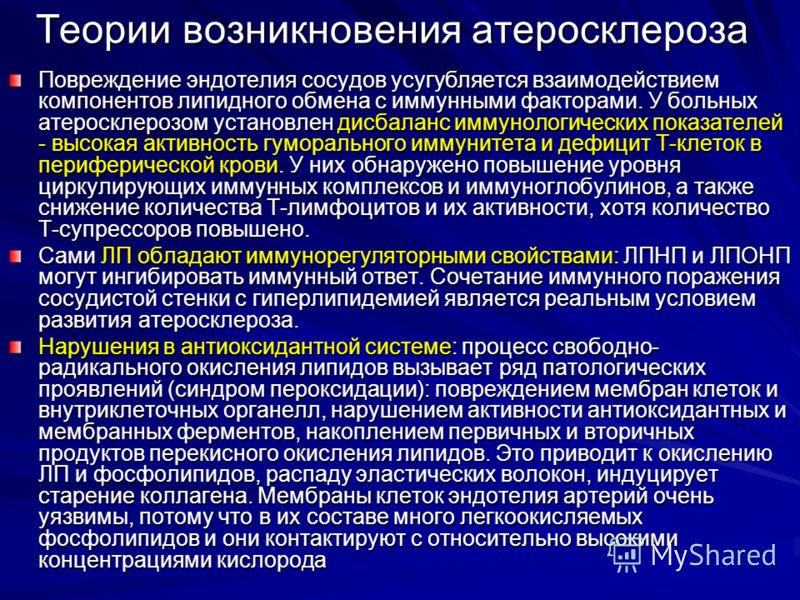 Какие анализы на кровь при атеросклерозе