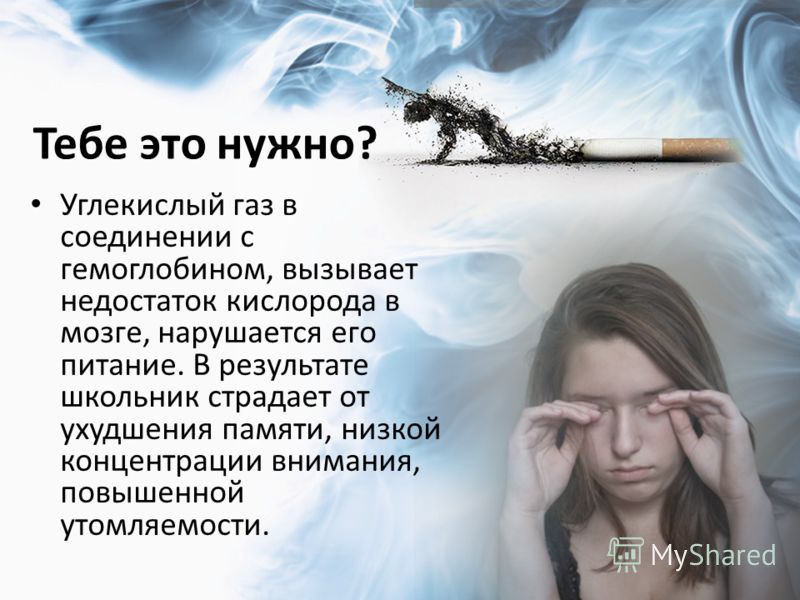 Хранение пакетов на кухне своими руками Хранение пакетов на кухне своими руками