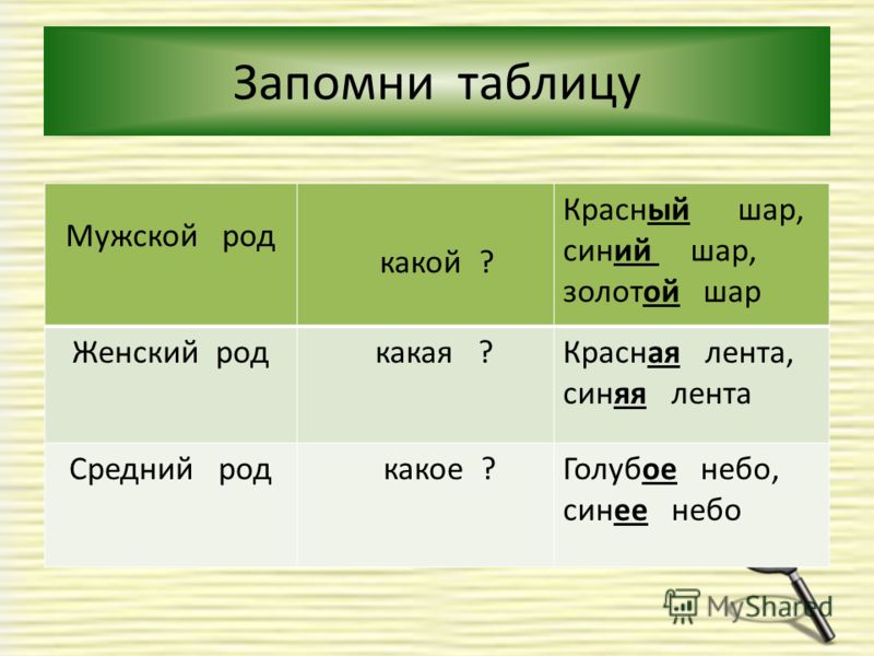 Стих мужской род Стих мужской род