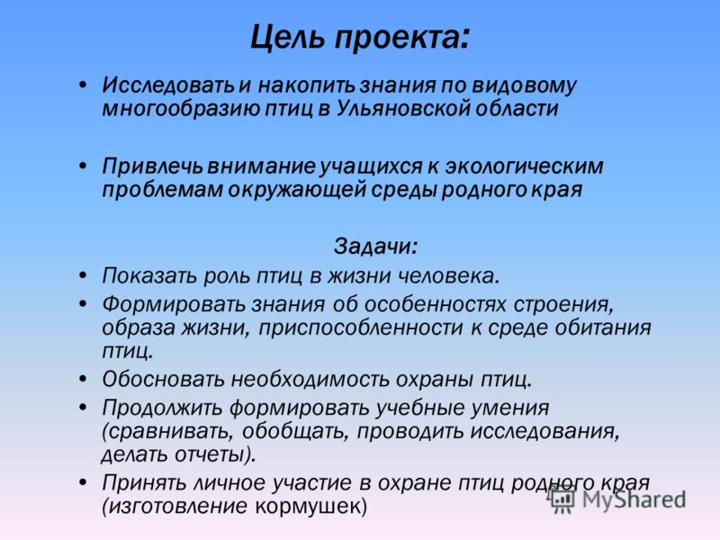 Картинки птиц зимующие в ульяновске Картинки птиц зимующие в ульяновске