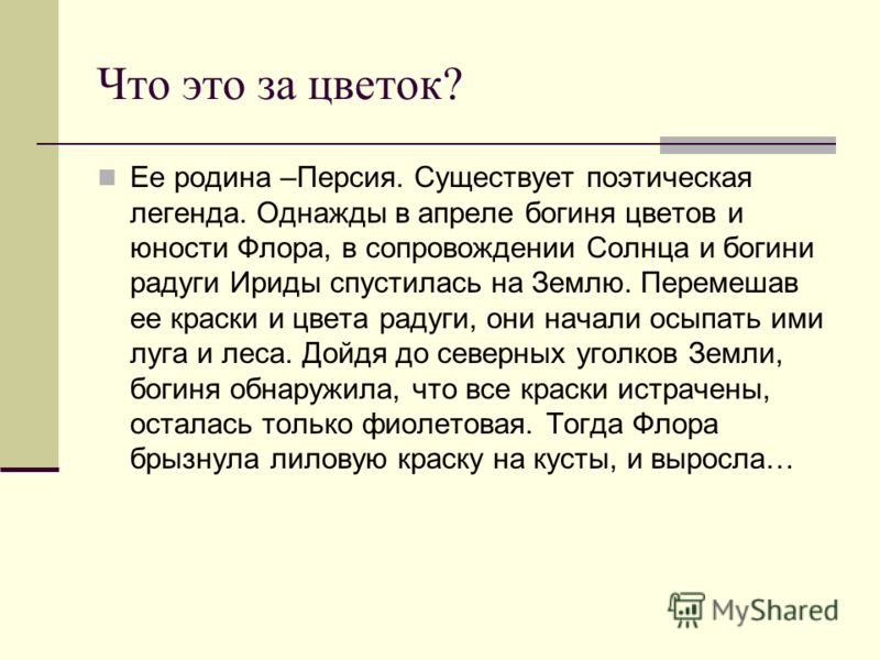 Самый сильный цветок Самый сильный цветок