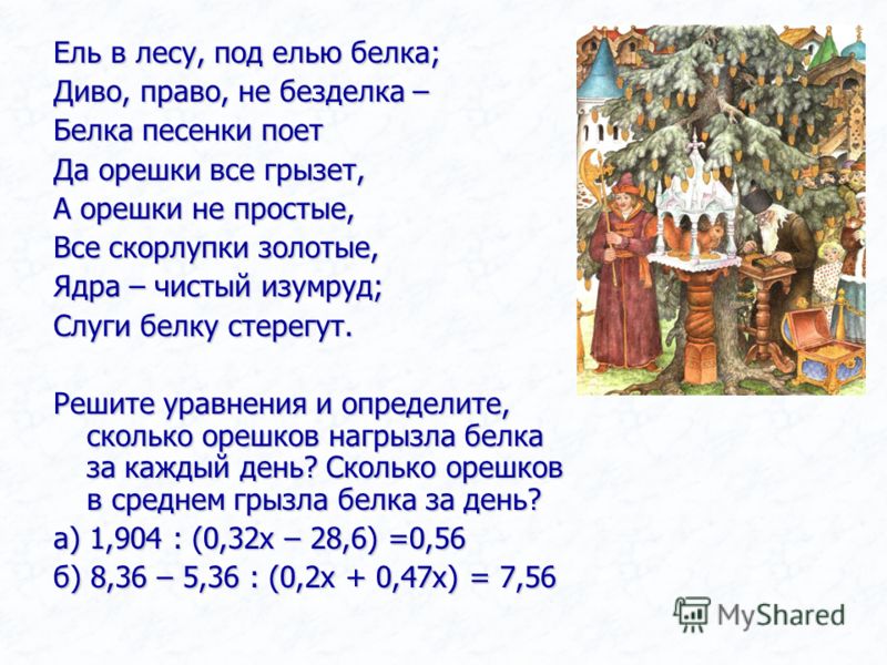 Ель В Лесу Под Елью Белка