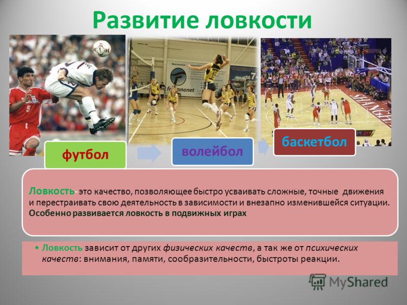 Сенситивные периоды развития основных физических качеств презентация