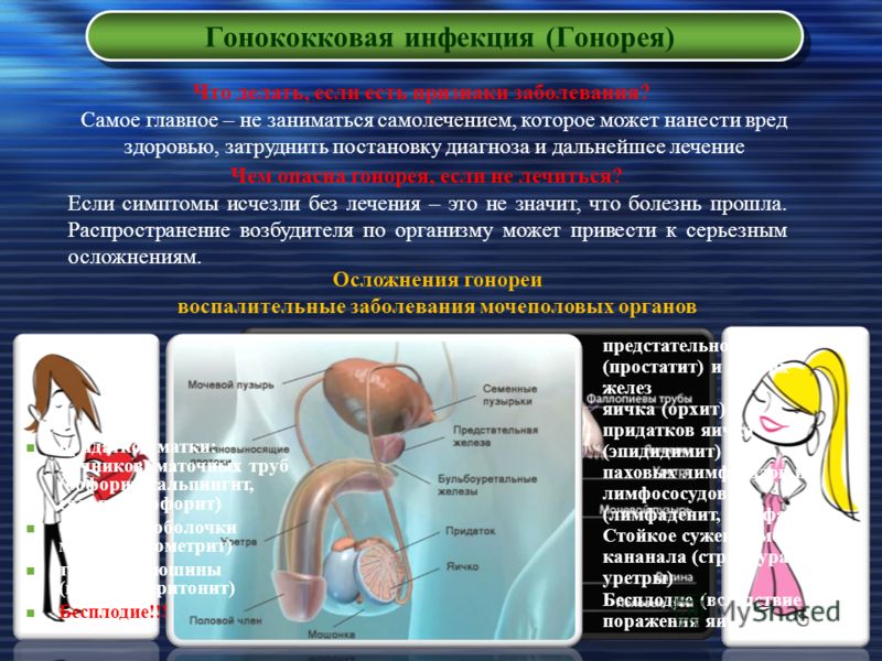 Использование метода моделирования в обучении детей Игры, ребусы, загадки, викторины, кроссворды