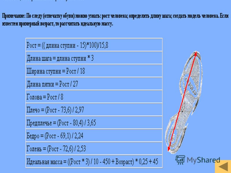 Презентация биологические модели развития популяций 11 класс