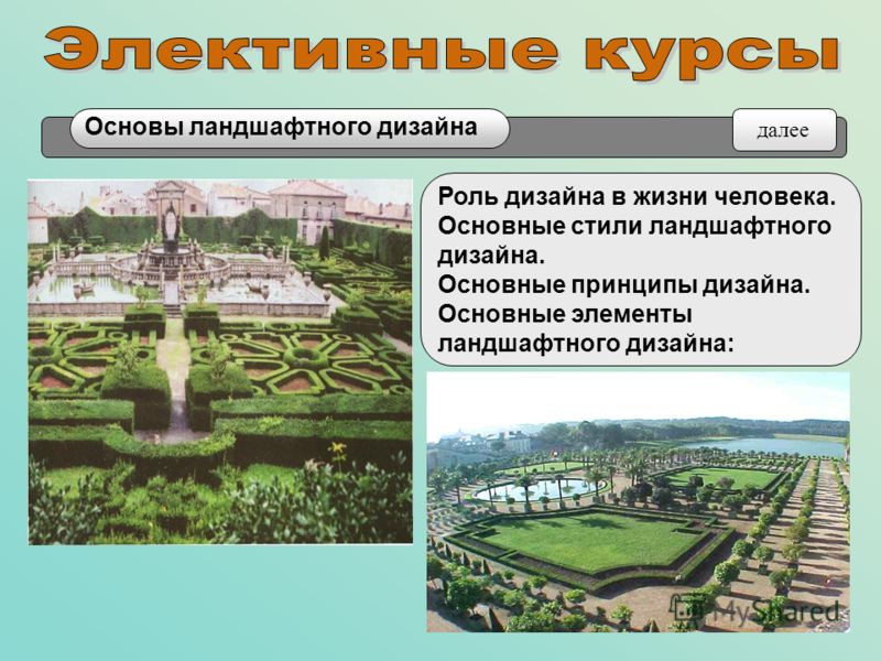 Дизайн в жизни людей Дизайн в жизни людей