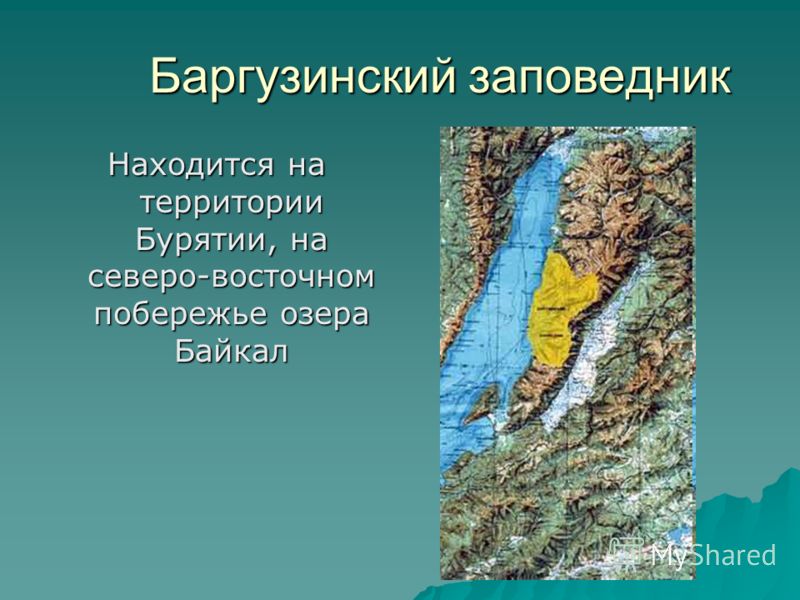 Реферат: Баргузинский заповедник
