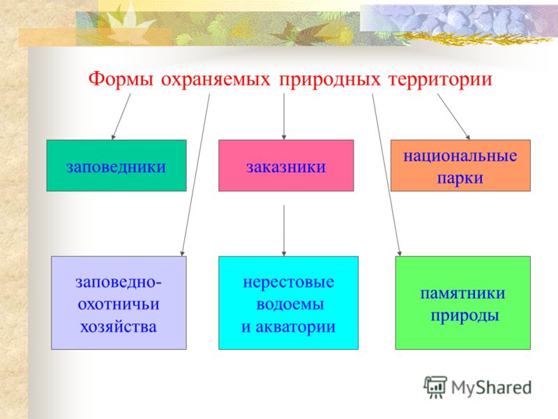 Особо охраняемые территории схема Особо охраняемые территории схема