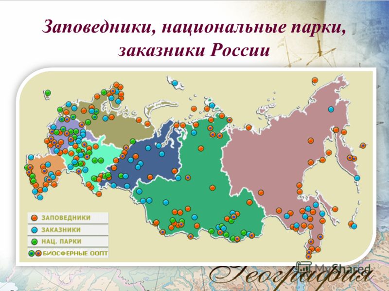фото заповедники и национальные парки россии