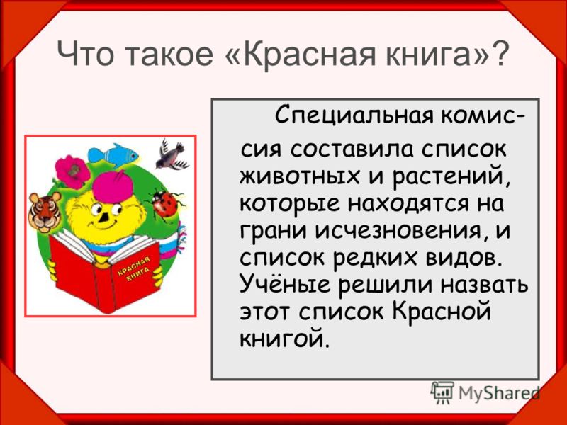 Как сделать ребенку красную книгу